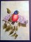 Spring Song Bird Painting, original oil painting 11x14 product 2